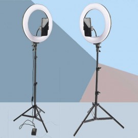 TikTok Selfie Ring Light With 10inch Tripod Stand |Mobile Photography Fill Lighting