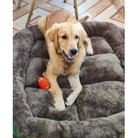 Dog Bed - Large Sized Dog Bed - Large Sized
