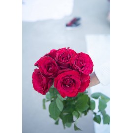 Fresh Red Rose Bouquet