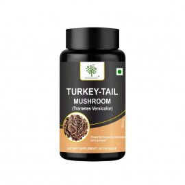 Mahogany Turkey Tail Mushroom Extract Capsules 500 mg - 90 Veg Caps