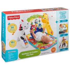 MATTEL CCB70 NEWBORN TO TODDLER PLAY GYM