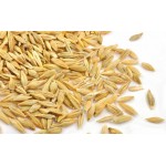 Jau | Barley Grain Seed | 500gm | Pooja Samagri