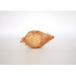 Pani Nariwal | Coconut | Pooja Samagri