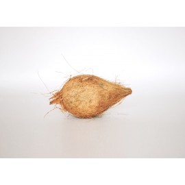 Pani Nariwal | Coconut | Pooja Samagri