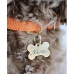 Solid Ring in Center Dog Collar Strap with Custom Brass Name Plate Solid Ring in Center Dog Collar Strap with Custom Brass Name Plate