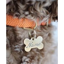 Solid Ring in Center Dog Collar Strap with Custom Brass Name Plate