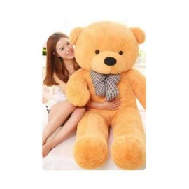 Teddy Bear 3ft( PINK,Brown n Red in color)