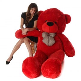 Teddy bear