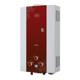 Electric / Gas Gyeser
