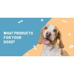 9 Essential Products for Your Dogs?