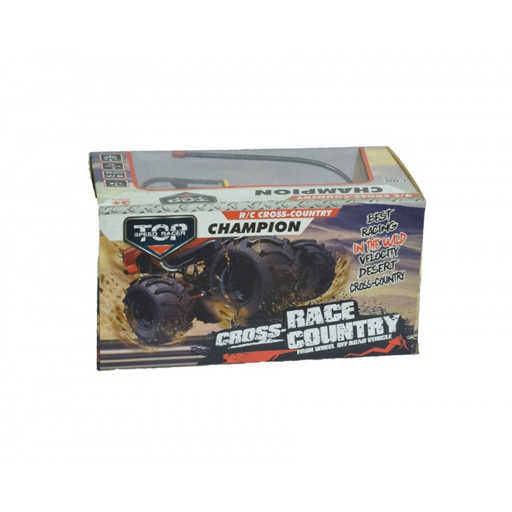 TOP Speed Racer Champion Racer Car / Kids Fun & Games