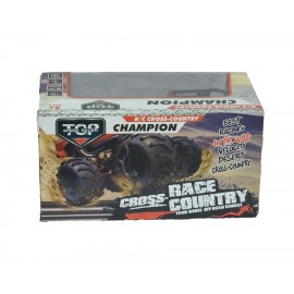 TOP Speed Racer Champion Racer Car / Kids Fun & Games