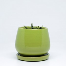 Beautiful Stylish Handmade Green Mini Succulent Pot 