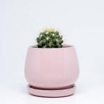 Handmade Light Purple Mini Succulent Pot