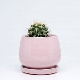 Handmade Light Purple Mini Succulent Pot
