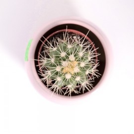 Handmade Light Purple Mini Succulent Pot