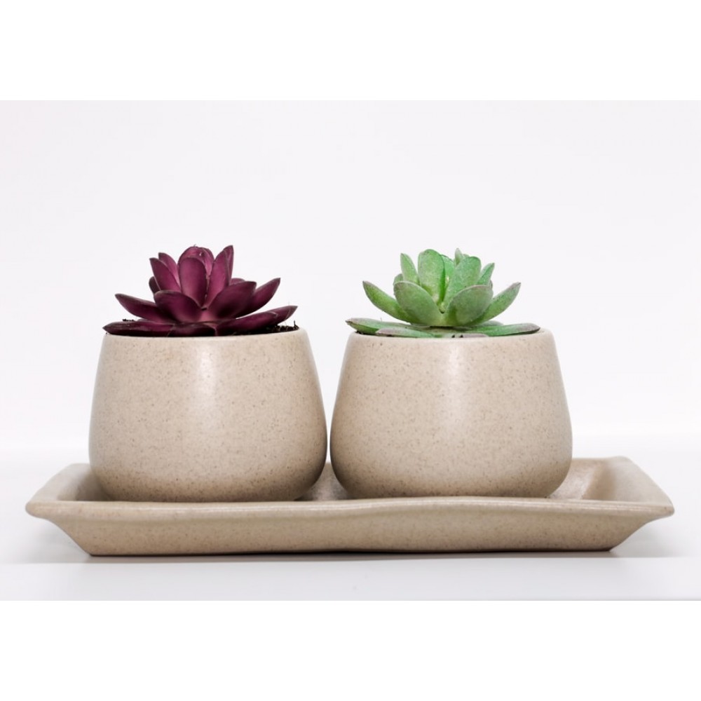 Handcrafted Stoneware Succulent Pot with Tray For Home & Office Decor Handcrafted Stoneware Succulent Pot with Tray For Home & Office Decor
