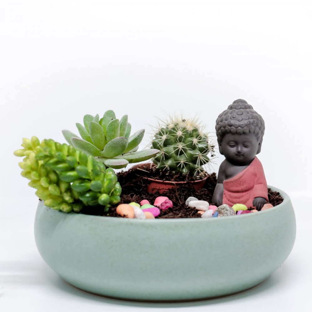 Handmade Stoneware DIY with Mini Buddha Statue Cactus and other Plants Handmade Stoneware DIY with Mini Buddha Statue Cactus and other Plants