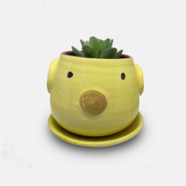 Handmade Small Plant Pot with Plastic Plant