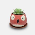 Bosa Handmade Succulent Planter Small Pot Bosa Handmade Succulent Planter Small Pot