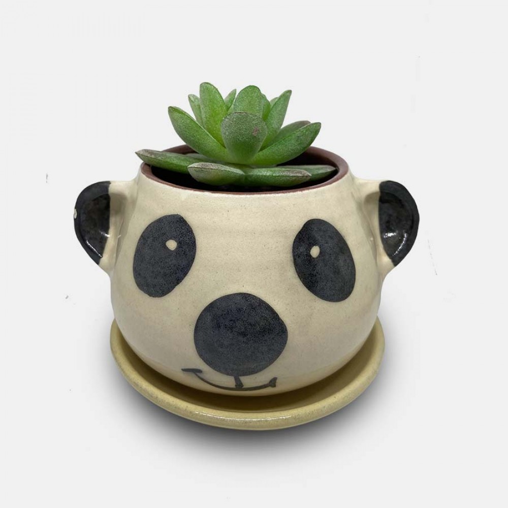 Handmade Ceramic Flower Planter Pot for Plants Lover Handmade Ceramic Flower Planter Pot for Plants Lover