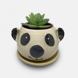 Handmade Ceramic Flower Planter Pot for Plants Lover