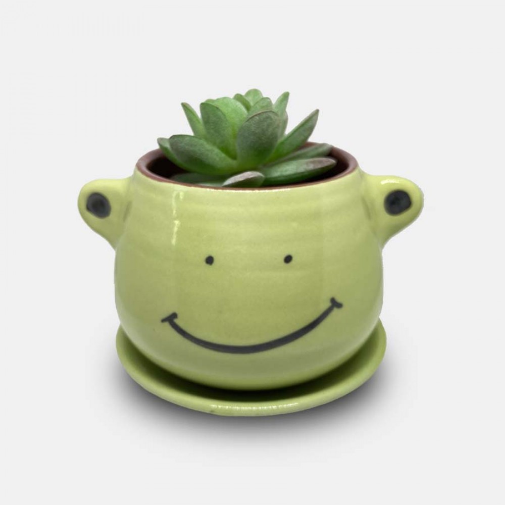 Handmade Ceramic Planter Pot with Plastic Plant