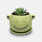 Handmade Ceramic Planter Pot with Plastic Plant