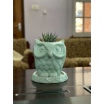 Handcrafted Owl Designed Clay Planter Pot with Plant| Made in Nepal