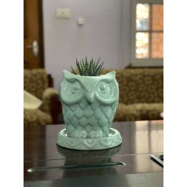 Handcrafted Owl Designed Clay Planter Pot with Plant| Made in Nepal