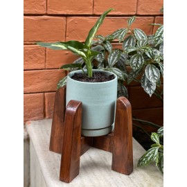 Handmade Cylinder Planter Pot with Wooden Stand and Plant| Made in Nepal