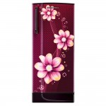 CG-Single Door Refrigerator 221 Ltrs -CGMRS2311IPLWN CG-Single Door Refrigerator 221 Ltrs -CGMRS2311IPLWN