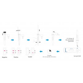 Flowflex SARS-COV-2 Antigen Rapid Test | Self-Testing Kit  Flowflex SARS-COV-2 Antigen Rapid Test | Self-Testing Kit
