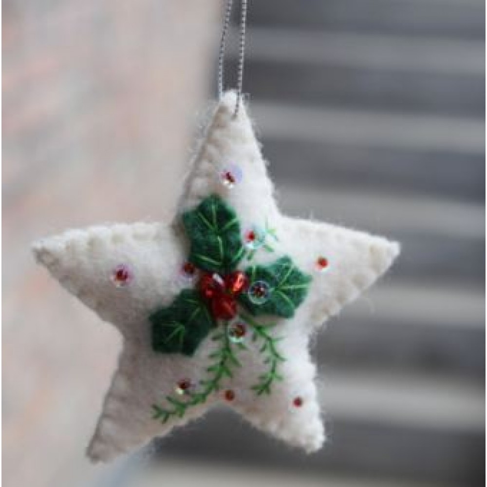 Christmas Star Hanging Decoration With Leaves Christmas Star Hanging Decoration With Leaves