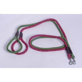 Stylish Dog Leash