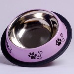 Colorful Feeding Bowl For Small Puppies  Colorful Feeding Bowl For Small Puppies