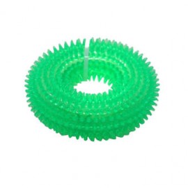 Green Spiral Pet Toy