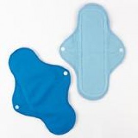Pee Safe Reusable Sanitary Pads - Pack of Four - Three Regular & One Overnight