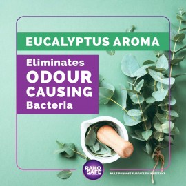 Raho Safe Multipurpose Surface Disinfectant Spray 120 ML - Eucalyptus