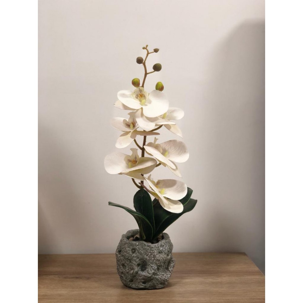 White Flower For Interior Decoration - Artificial Plant Décor White Flower For Interior Decoration - Artificial Plant Décor