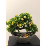 Plant For Home Décor - Artificial