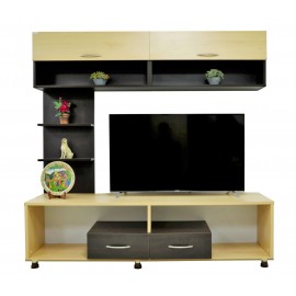 Modern Wall TV Cabinet