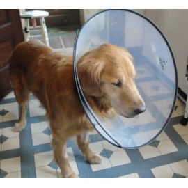Elizabethan Collar With Breathable Soft Edge Plastic - Small Elizabethan Collar With Breathable Soft Edge Plastic - Small