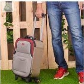 Travel Rolling Luggage Wheeled Suitcase-16inch