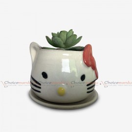 Mini Cute Cat Decorative Succulent Planter Pots