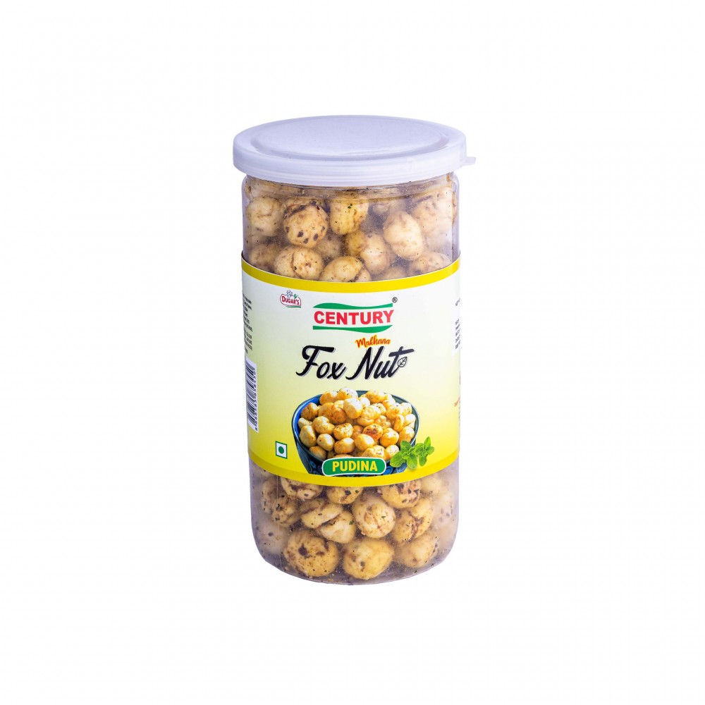 Century Fox Nut Pudina-90gm