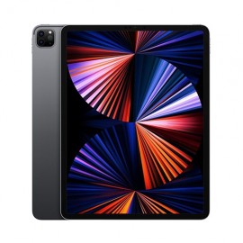 IPad 2021- 256GB WiFi Only