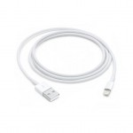 Apple Lightning to USB Cable (1 m) Apple Lightning to USB Cable (1 m)