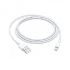Apple Lightning to USB Cable (1 m)