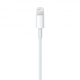 Apple Lightning to USB Cable (1 m) Apple Lightning to USB Cable (1 m)